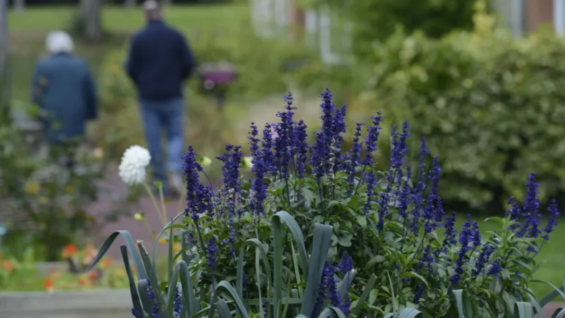 Photo d'un jardin avec deux personnes qui marchent en arrière-plan