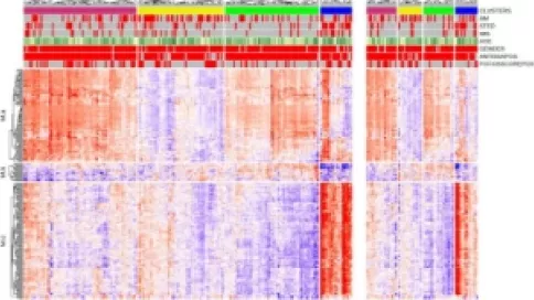 Visuel axe 3 -  Molecular pattern distribution is represented by 4 clusters of pSS patients with different canonical pathways