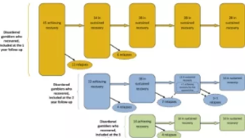 Visuel axe 5 - Schematic representation of the observed transitions throughout the follow-up