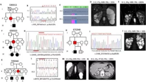 Visuel axe 1 - Pedigree, imaging and sequencing data of mosaic families segregating the pathogenic variant to the next generation